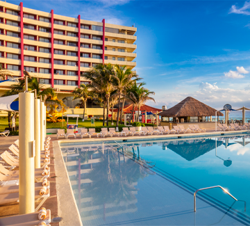Crown Paradise