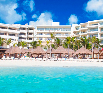 Crown Paradise
